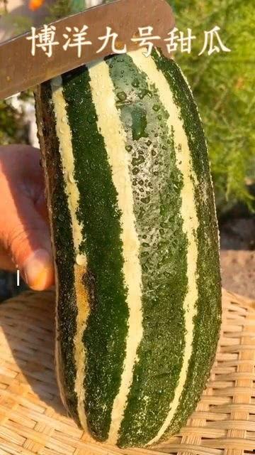 什么叫吃瓜了吗吃瓜,网络热词背后的文化现象