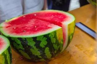 男大学吃瓜,揭秘男大学生吃瓜背后的故事