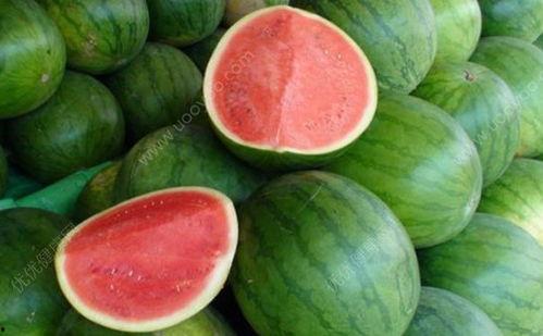 咳嗽吃梨瓜吗,缓解咳嗽的天然良药