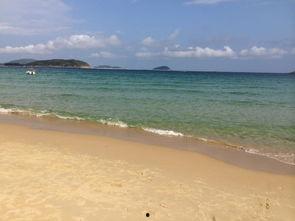 碧海问舟吃瓜,揭秘吃瓜背后的故事与真相