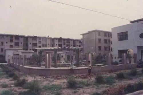 东洲新村吃瓜,夏日吃瓜盛宴，邻里共享清凉时光