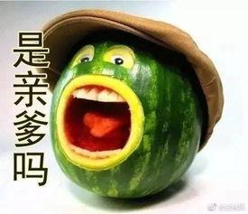 吃别人剩下的瓜,揭秘吃别人剩下的瓜背后的故事