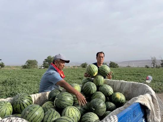 初一吃瓜,吃瓜群众的热议焦点