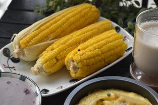 早晨空腹吃哈密瓜,健康美味两不误