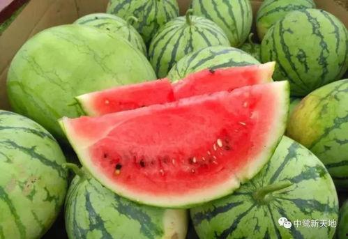 丰隆吃瓜,揭秘瓜界传奇背后的故事