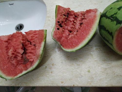 西疆二皇子吃瓜,宫廷风云中的吃瓜达人