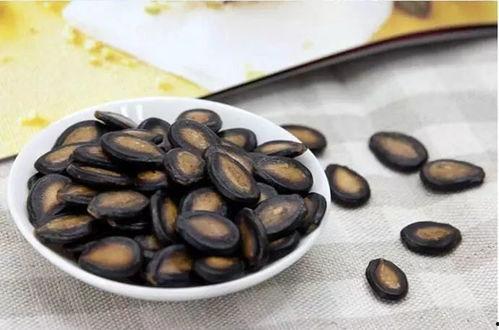 吃瓜就吃瓜别吐瓜子皮,畅享美味，拒绝瓜子皮污染