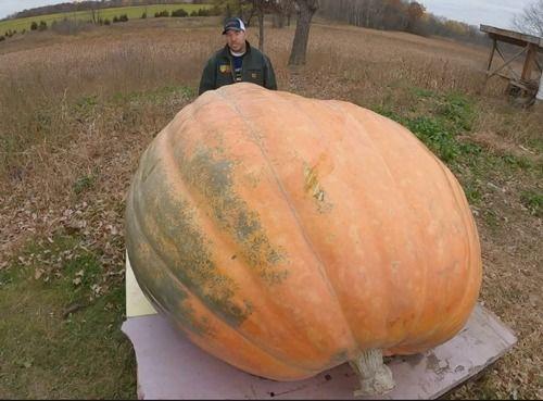 吃瓜吃吐是怎么回事,过度娱乐背后的健康警示