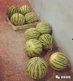 建波吃瓜,揭秘娱乐圈幕后故事