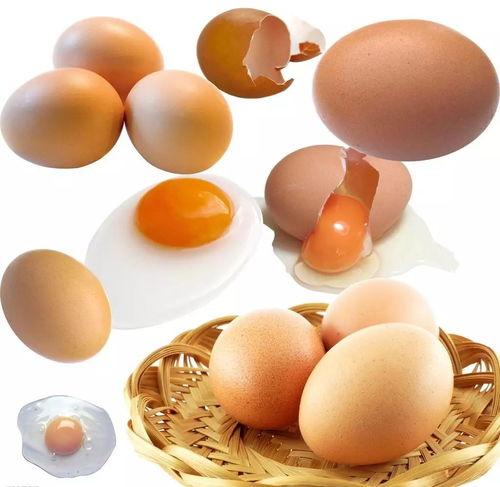 姨妈期间吃蛋瓜,蛋瓜助力姨妈期健康饮食新选择”