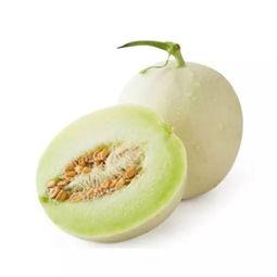 蜜玉菇瓜怎么吃,蜜玉菇瓜的多彩食法探索