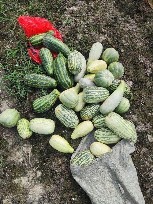 吃瓜10月,盘点娱乐圈热点事件与幕后真相