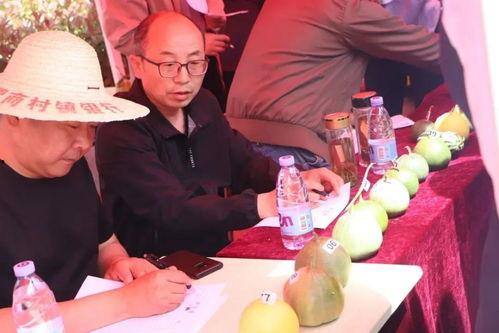 济宁吃瓜露露,吃瓜露露的独特风味之旅