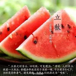 立秋为啥吃瓜,传统习俗中的季节变迁与美食文化
