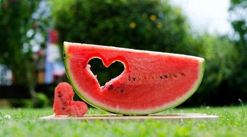 带你吃瓜幸福档案,带你探索“吃瓜幸福”背后的甜蜜档案