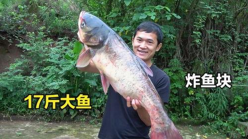 刘大瓜吃蒸鱼,刘大瓜蒸鱼美食之旅