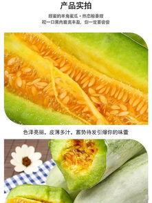 过瘾的吃瓜体验,解锁过瘾的味蕾之旅