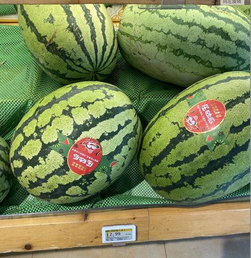 重庆沙坪坝吃瓜,品味重庆特色，畅享清凉时光